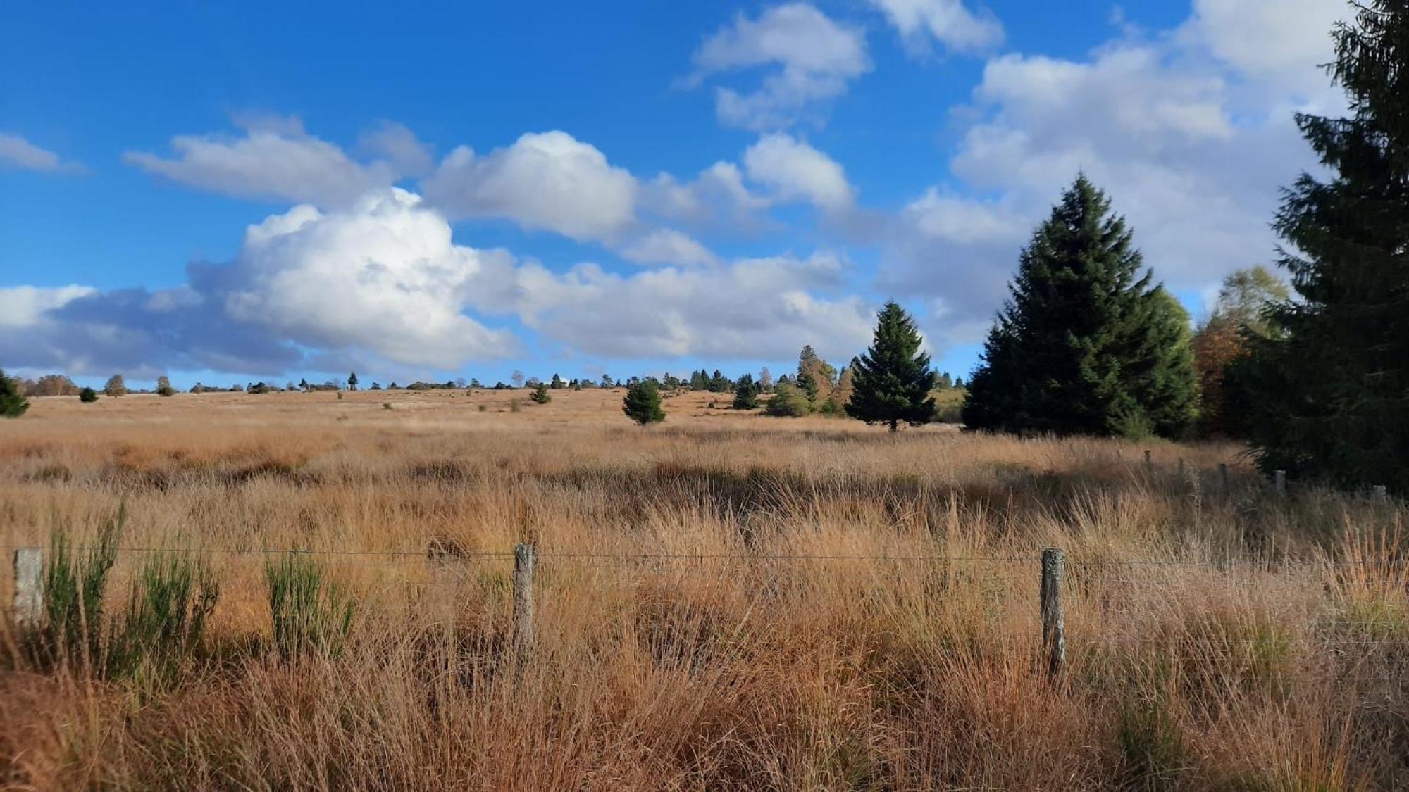Apartamento Au Coin Des Fagnes Jalhay Exterior foto
